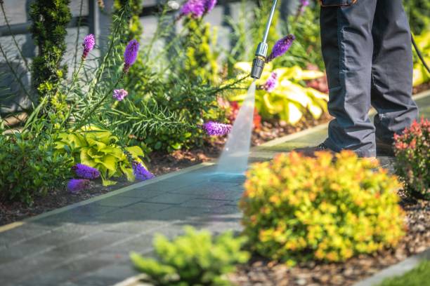 Best Spring Cleaning  in West Haven, CT